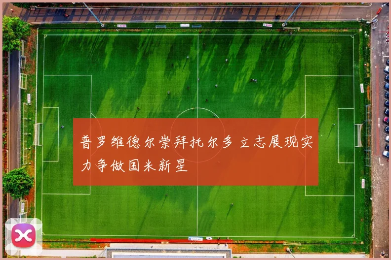 普罗维德尔崇拜托尔多立志展现实力争做国米新星