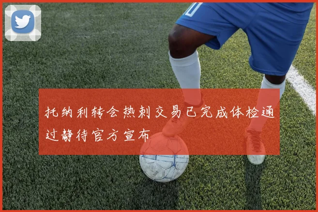 托纳利转会热刺交易已完成体检通过静待官方宣布